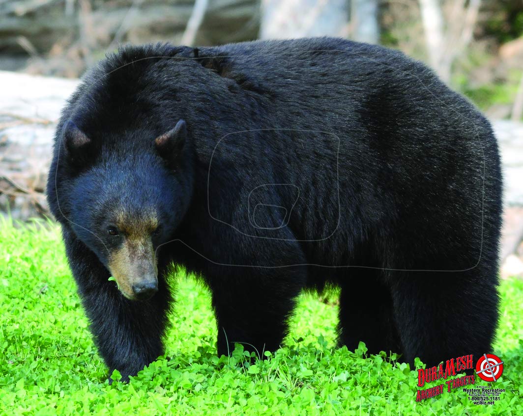 Duramesh Archery Targets Black Bear, DM202 / DM402 (48" x 40")