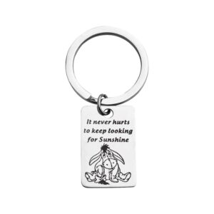 KUIYAI It Never Hurts to Keep Looking for Sunshine Bracelet Donkey Quote Bracelet Inspiration Gift (Keychain)