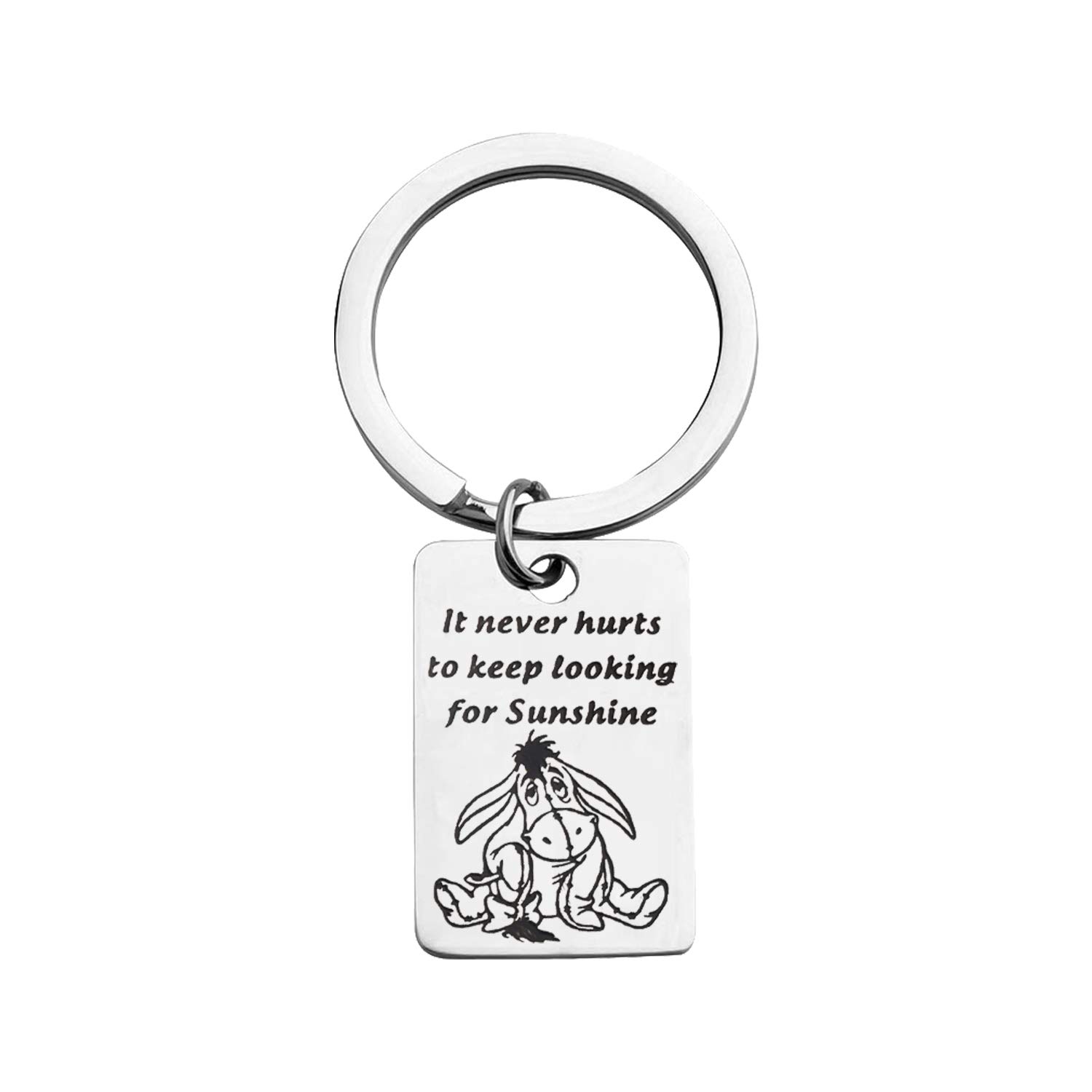 KUIYAI It Never Hurts to Keep Looking for Sunshine Bracelet Donkey Quote Bracelet Inspiration Gift (Keychain)