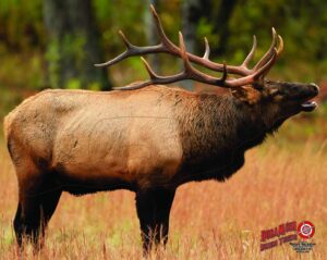 duramesh archery targets elk #1, dm206 / dm406 (48" x 40")