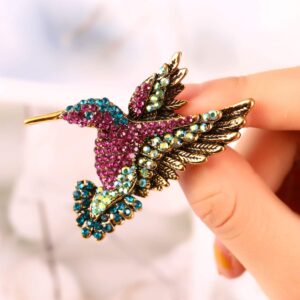 Hicarer 6 Pieces Women Brooch Set Crystal Pin Brooch Colorful Animal Shape Brooch Pin for Women Girls Party Favors (Dragonfly, Butterfly, Hummingbird, Owl, Peacock, Bee Design)