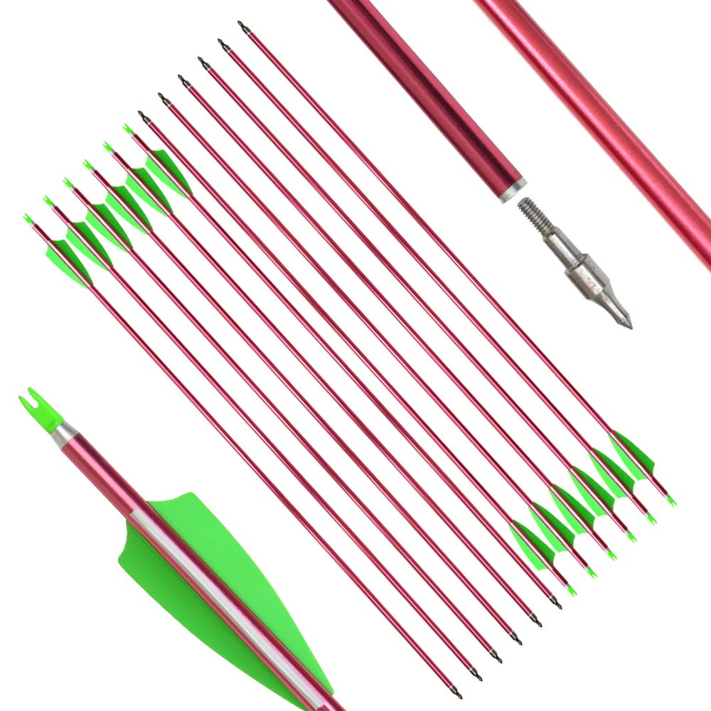 SHARROW 12pcs Archery 32 Inch Aluminum Arrows Spine 500 for Compound Recurve Bow