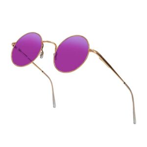 Circle Sunglasses Round Glasses Circular Purple Accessories 70’s Women Tinted