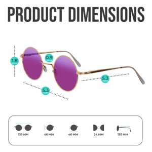 Circle Sunglasses Round Glasses Circular Purple Accessories 70’s Women Tinted