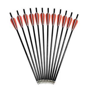 Crossbow Bolts Arrows Fiberglass 14 Inch Hunting Sport Archery Target Arrow with Replaced 100 Grain Points Flat Knocks (Pack of 12)