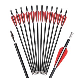 Crossbow Bolts Arrows Fiberglass 14 Inch Hunting Sport Archery Target Arrow with Replaced 100 Grain Points Flat Knocks (Pack of 12)