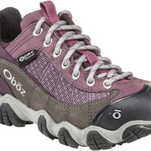 Oboz Firebrand Ii Low Waterproof Women's Shoe Lilac - 9.5 Medium