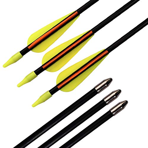 28 Inch Recurve Bow Youth Arrows Target Arrows Archery Practice Fiberglass Arrows for Beginners Kids Women Outdoor (Pack of 12)