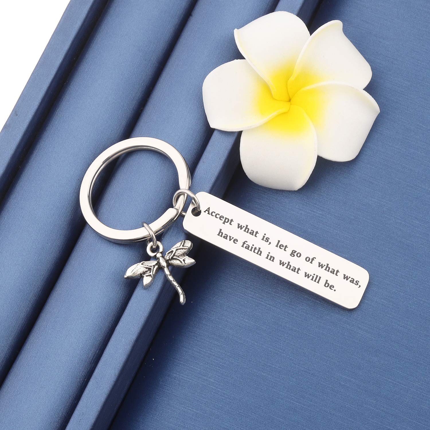 MYOSPARK Accept What Is Let Go of What Was And Have Faith In What Will Be Dragonfly Keychain Inspirational Jewelry Gift (Dragonfly Keychain)