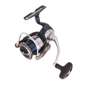 daiwa certate lt spinning - reel