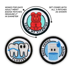 Winks For Days Adulting Merit Badge Embroidered Iron-On Patches (Health - Set 2) - Includes Three (3) 2" Patches: Flossed, Took My Vitamins, and Drank Some Water