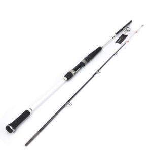 Ecooda 2-Pieces Saltwater Offshore Spinning Carbon Fiber Boat Fishing Rod Portable Travel Fishing Rod with Pearlized Color Rod Tip (Length 6＇6＂Max Drag 35LB)