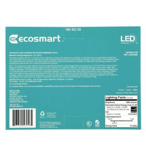 Ecosmart 90-Watt Equivalent PAR38 Dimmable Energy Star Flood LED Light Bulb Bright White (2-Pack)