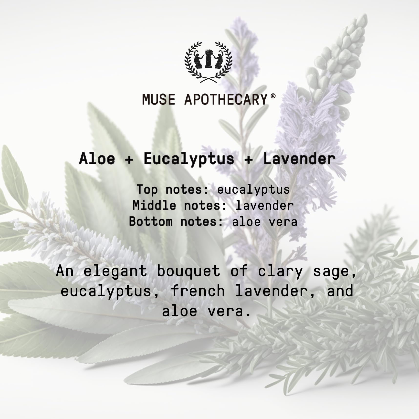 Muse Apothecary Room Ritual - Aromatic and Relaxing Room Mist, 8 oz, Infused with Natural Essential Oils - Aloe + Eucalyptus + Lavender, 2 Pack