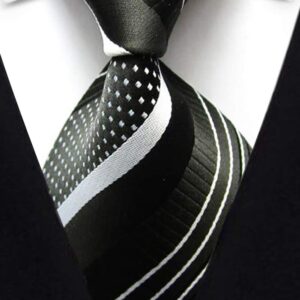 veegood Men's Classic Neck Ties for Men 10 Pack Classy Men's Tie Woven Jacquard Ties Party Suit B10VG01