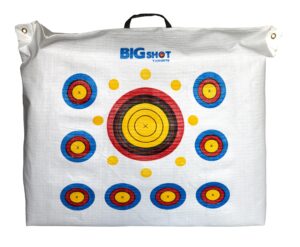 bigshot outdoor range field point bag target