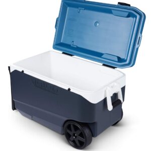 IGLOO Outdoor Maxcold Latitude 90 Cool Box, Gris foncé/Bleu, 85 Liter