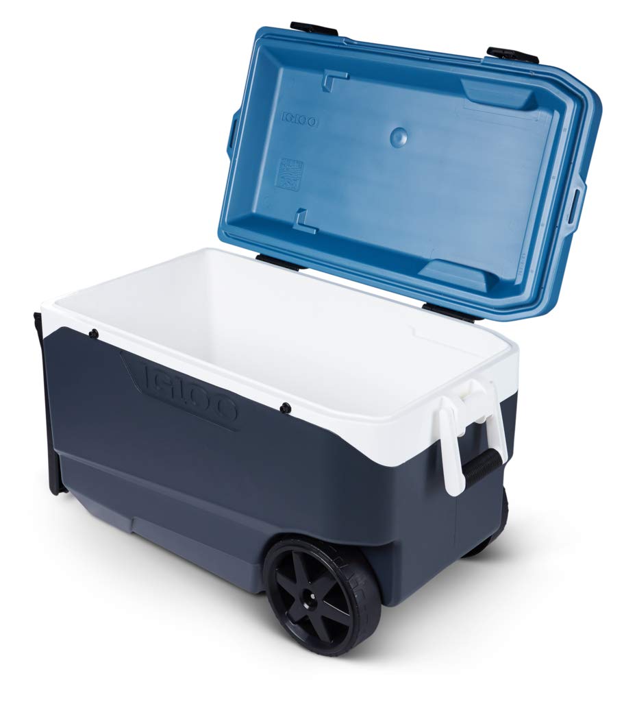 IGLOO Outdoor Maxcold Latitude 90 Cool Box, Gris foncé/Bleu, 85 Liter