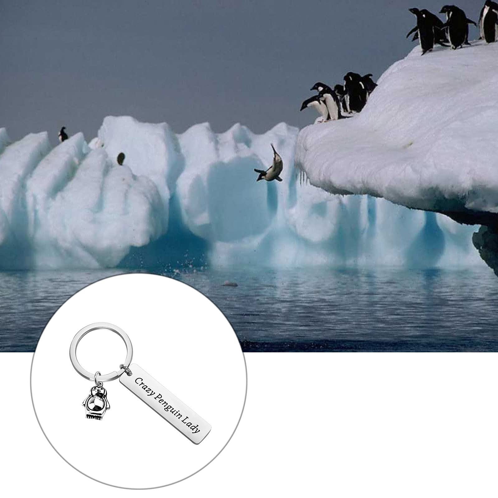 BNQL Crazy Penguin Lady Keychain Gift for Animal Lovers