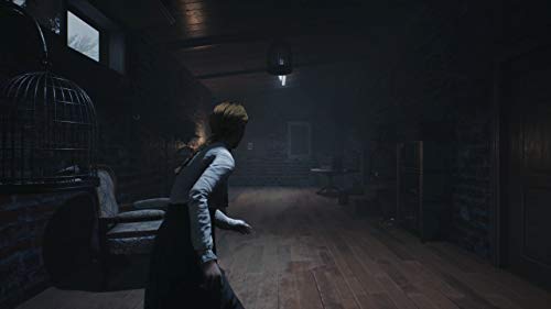 Remothered: Broken Porcelain (PS4) - PlayStation 4