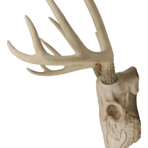 Ebros Gift Rustic Hunter Deer 10 Point Buck Skull Trophy Antlers Wall Mounted Plaque Trophy Decor Figurine 14.25" Long Hunter's Antler Rack Theme Deers Bucks Hunting Skulls Trophies Hanging Sculptures