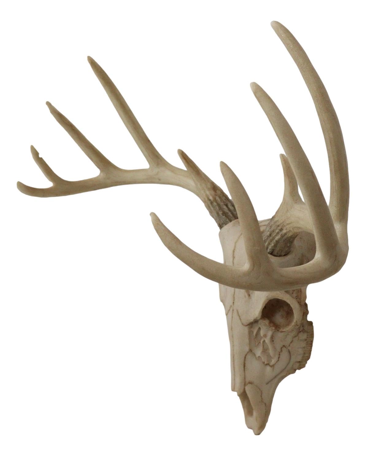 Ebros Gift Rustic Hunter Deer 10 Point Buck Skull Trophy Antlers Wall Mounted Plaque Trophy Decor Figurine 14.25" Long Hunter's Antler Rack Theme Deers Bucks Hunting Skulls Trophies Hanging Sculptures