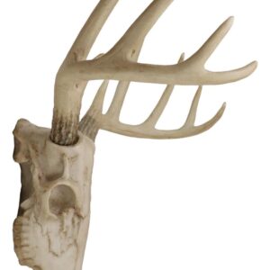 Ebros Gift Rustic Hunter Deer 10 Point Buck Skull Trophy Antlers Wall Mounted Plaque Trophy Decor Figurine 14.25" Long Hunter's Antler Rack Theme Deers Bucks Hunting Skulls Trophies Hanging Sculptures