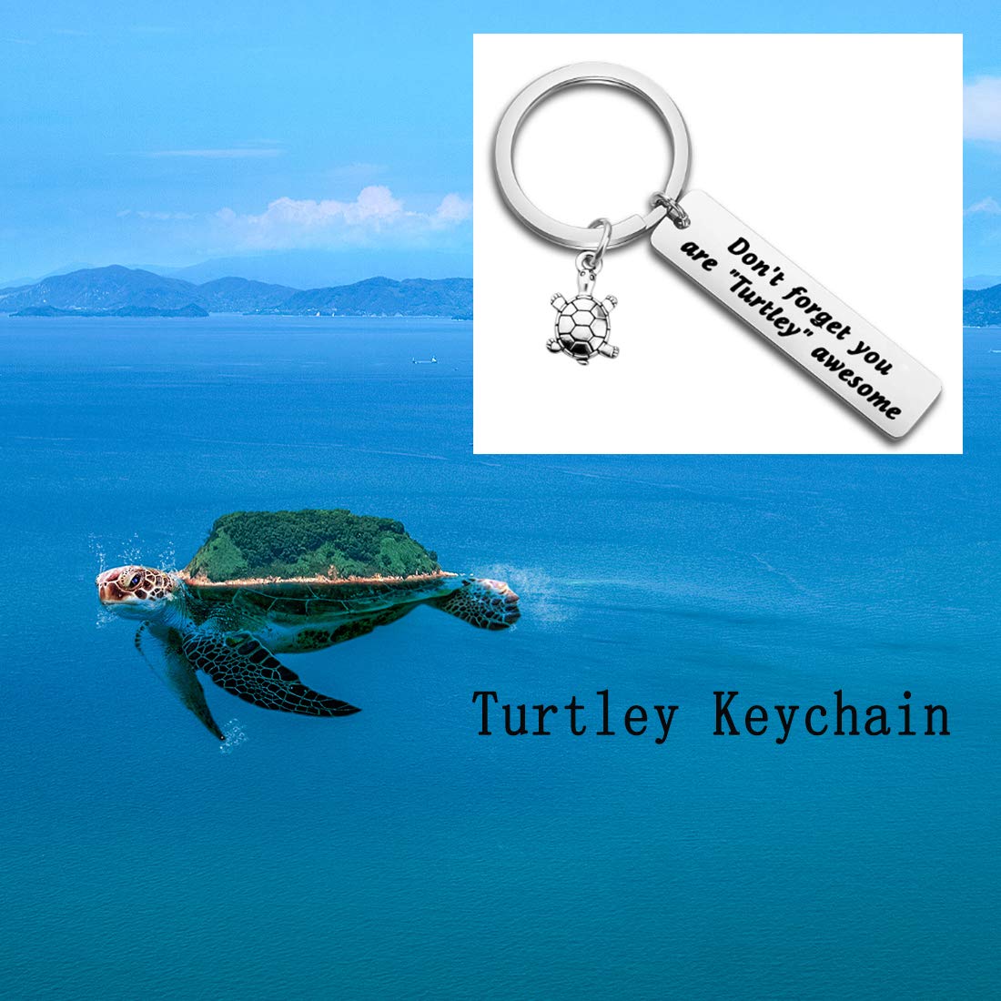 HOLLP Turtle Bracelet Awesome Bangle Beach Jewelry Don’t Ever Forget You Are Turtley Awesome Jewelry (Keychain)