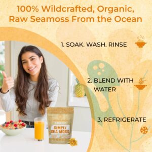 MEGAPLANTS Organic Sea Moss | Makes 228 Servings of Seamoss Gel | Pre-Washed | Wildcrafted | Immune Booster | Strengthen Hair, Skin, Nails & Joints