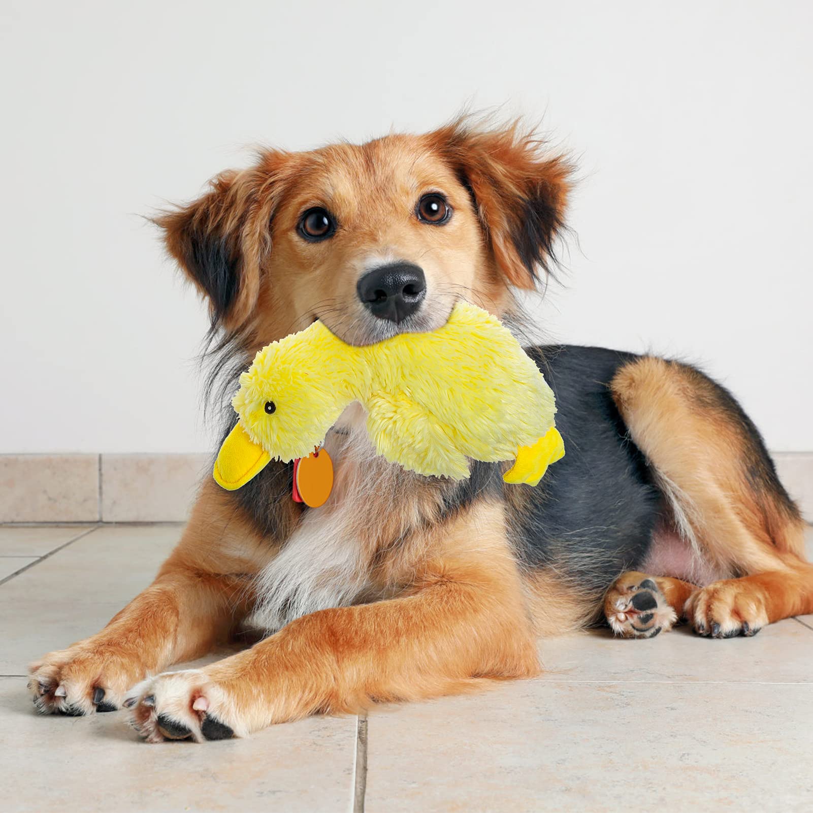 EXPAWLORER Plush Squeaky Duck Dog Toy - 14" Large Stuffed Soft Cute Duck, Best Birthday Gift Interactive Filled Chew Toys for Small Medium Large Dogs Puppy Biting Training Teething, Yellow