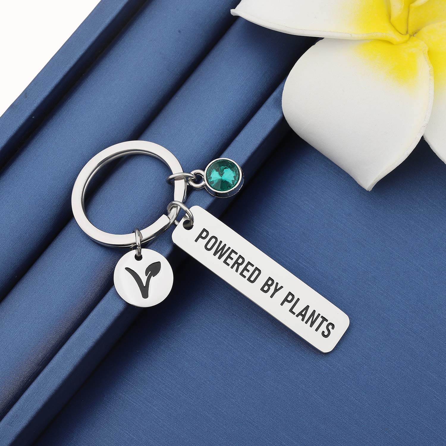 MYOSPARK Vegetarian Gift Powered By Plants Vegan Symbol Keychain Vegetarian Jewelry Animal Rights Gift For Animal Lover (Powered By Plants Keychain)