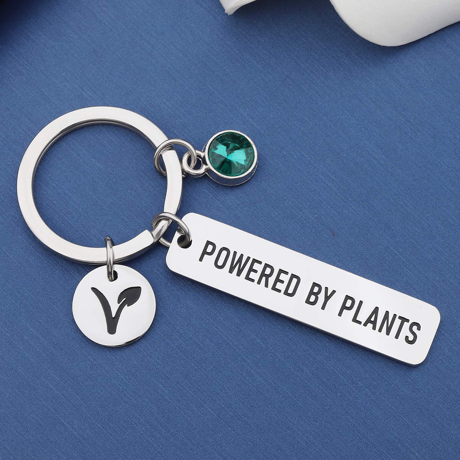 MYOSPARK Vegetarian Gift Powered By Plants Vegan Symbol Keychain Vegetarian Jewelry Animal Rights Gift For Animal Lover (Powered By Plants Keychain)