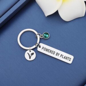 MYOSPARK Vegetarian Gift Powered By Plants Vegan Symbol Keychain Vegetarian Jewelry Animal Rights Gift For Animal Lover (Powered By Plants Keychain)