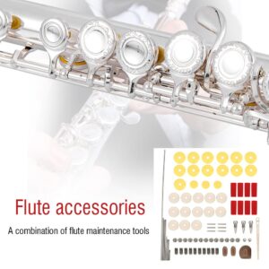 Flute Maintenance Kit, Flute Repair Maintenance Set Musical Instrument Parts Accessories