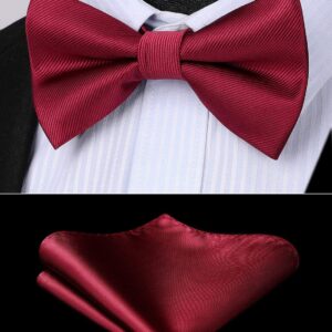 HISDERN Bow Ties for Men Burgundy Pre-Tie Bow Tie and Pocket Square Set Adjustable Solid Color Bow Tie Classic Men's Tuxedo Bowtie for Wedding Party