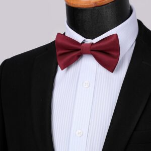 HISDERN Bow Ties for Men Burgundy Pre-Tie Bow Tie and Pocket Square Set Adjustable Solid Color Bow Tie Classic Men's Tuxedo Bowtie for Wedding Party