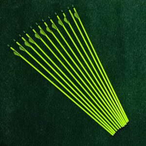 12Pcs 31'' Fluorescent Yellow Pure Carbon Arrows with Replaceable Points for Compound Bow and Recurve Bow Hunting and Target Practice