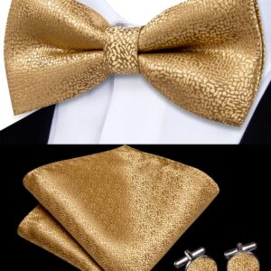 Dubulle Gold Bow Tie Lapel Pin Set for Men Mens Solid Gold Pretied Bowties Handkerchief Cufflinks