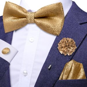 Dubulle Gold Bow Tie Lapel Pin Set for Men Mens Solid Gold Pretied Bowties Handkerchief Cufflinks