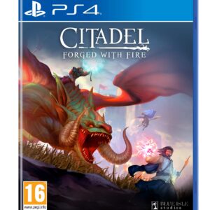 Citadel: Forged with Fire (PS4)