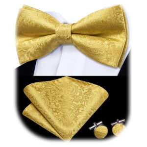 Dubulle Mens Pre-tied Bowtie and Pocket Square Set Paisley/Striped/Checks Bowties for Men,A Gold