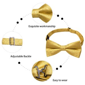 Dubulle Mens Pre-tied Bowtie and Pocket Square Set Paisley/Striped/Checks Bowties for Men,A Gold