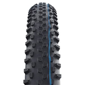 Schwalbe Unisex's Racing RAY Evo, Snakeskin, TLE Tyres, Black, 57-622