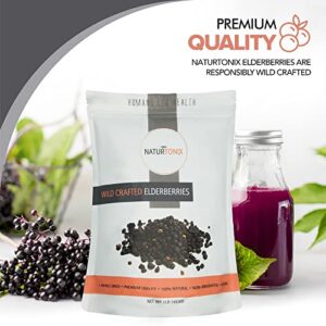 Naturtonix Whole Dried Elderberries, All Natural Immune Booster, Vegan, Gluten Free & Non-GMO, Vitamin C, Sambucus Nigra, For Making Tea, Syrup, Jam & Gummies 8 Ounce Pouch