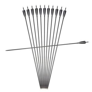 SHARROW 12 Pack 34" Archery Carbon Arrows Practice Hunting Arrows 500 Spine with 4 Inch Shield Real Turkey Feathers 100 Grain Removable Tips for Compound Recurve Bow (Arrows)