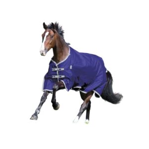 Highlander Plus Lite Standard Neck Horse Turnout Blanket (Navy, 72")