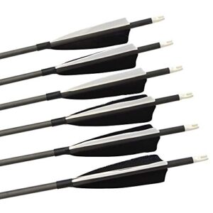 AMEYXGS 34Inch Archery Carbon Arrows Hunting Arrows Target Practice Arrows Spine 500 with Turkey Feather and Arrow Quiver for Recurve and Compound Bow (6pcs)