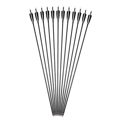 AMEYXGS 34Inch Archery Carbon Arrows Hunting Arrows Target Practice Arrows Spine 500 with Turkey Feather and Arrow Quiver for Recurve and Compound Bow (6pcs)