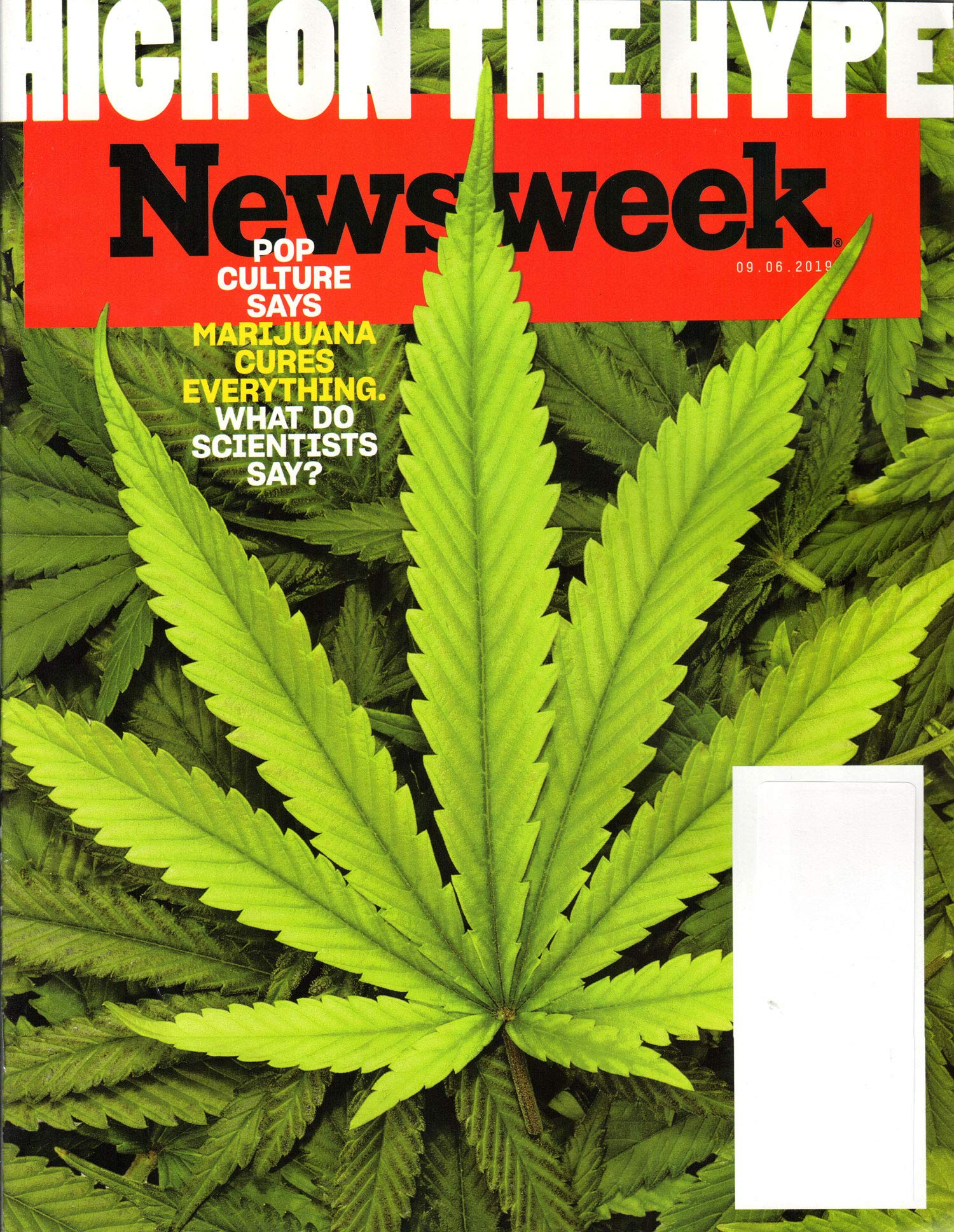 Newsweek Magazine September 6, 2019 | High on the Hype