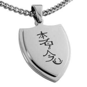 tioneer stainless steel reiki hon sha ze sho nen distance shield pendant necklace